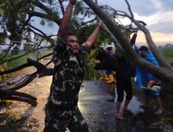 Babinsa Pos Ramil Mojoanyar Bersama Bhabinkamtibmas, BPBD Hingga Relawan Evakuasi Pohon Tumbang