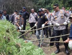 Kapolda Aceh: Keseluruhan Ada 43 Hektar Ladang Ganja Siap Panen Dimusnahkan