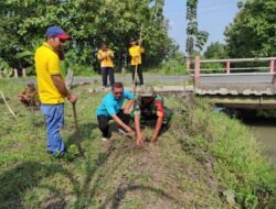 Lestarikan Alam, Babinsa Koramil Kemlagi Bareng Kades & PKK Tanam Pohon