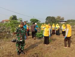 Lestarikan Alam, Babinsa Koramil Kemlagi Bareng Kades & PKK Tanam Pohon