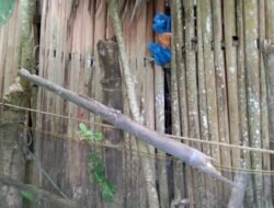 Kondisi Rumah Keluarga Abdurrahman Yang Tidak Layak Huni 