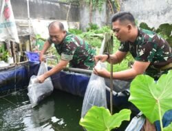 Budidaya Ikan Air Tawar, Pilot Project Kodim 0815/Mojokerto Wujudkan Ketahanan Pangan