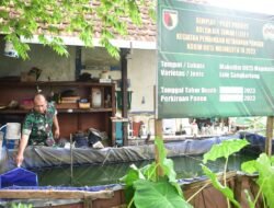 Budidaya Ikan Air Tawar, Pilot Project Kodim 0815/Mojokerto Wujudkan Ketahanan Pangan
