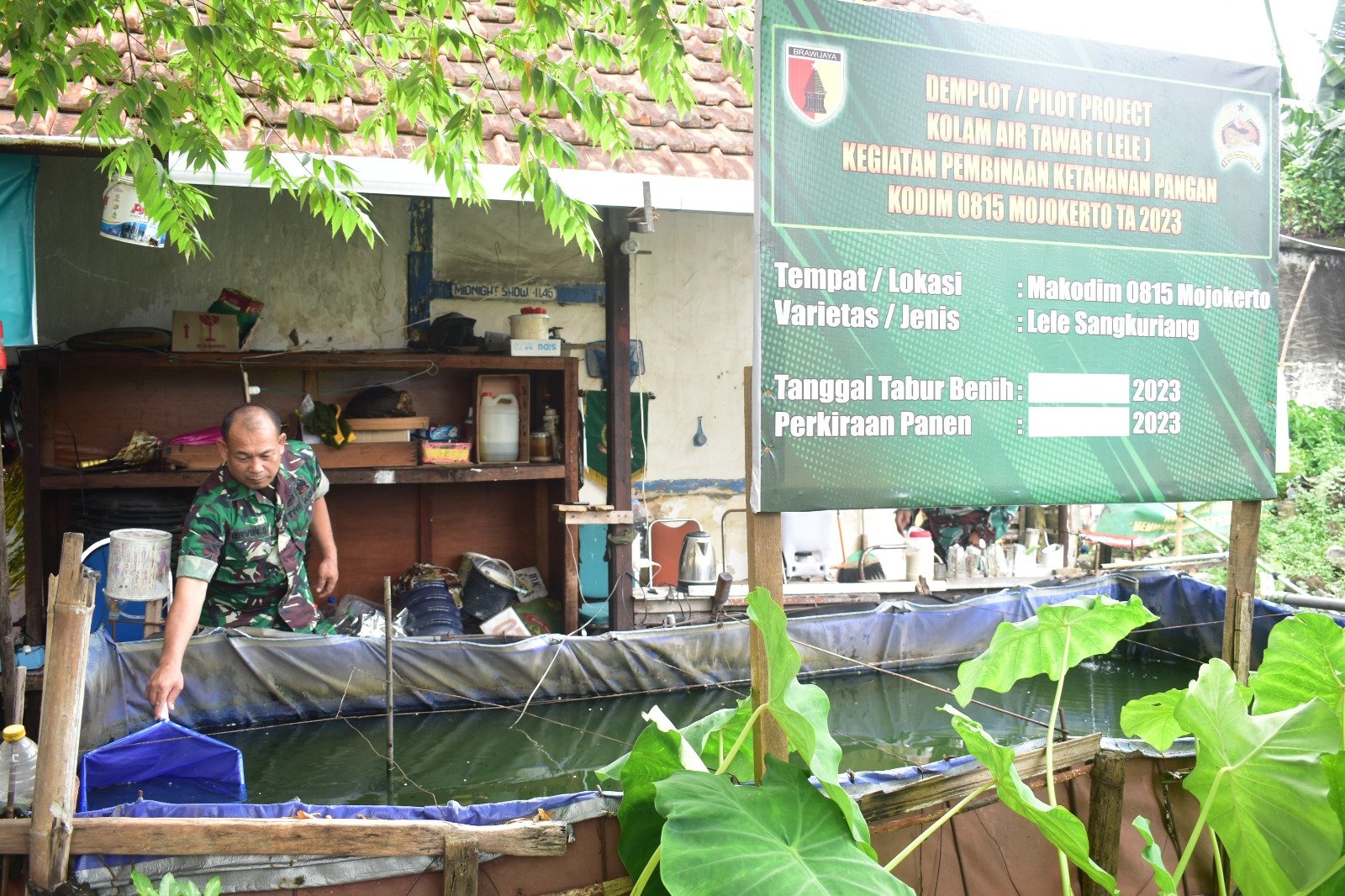 Budidaya Ikan Air Tawar, Pilot Project Kodim 0815/Mojokerto Wujudkan Ketahanan Pangan