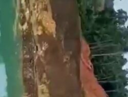 Bukit Senggiri Tempilang Tidak Termasuk Kawasan Hutan  Produksi dan Hutan Lindung