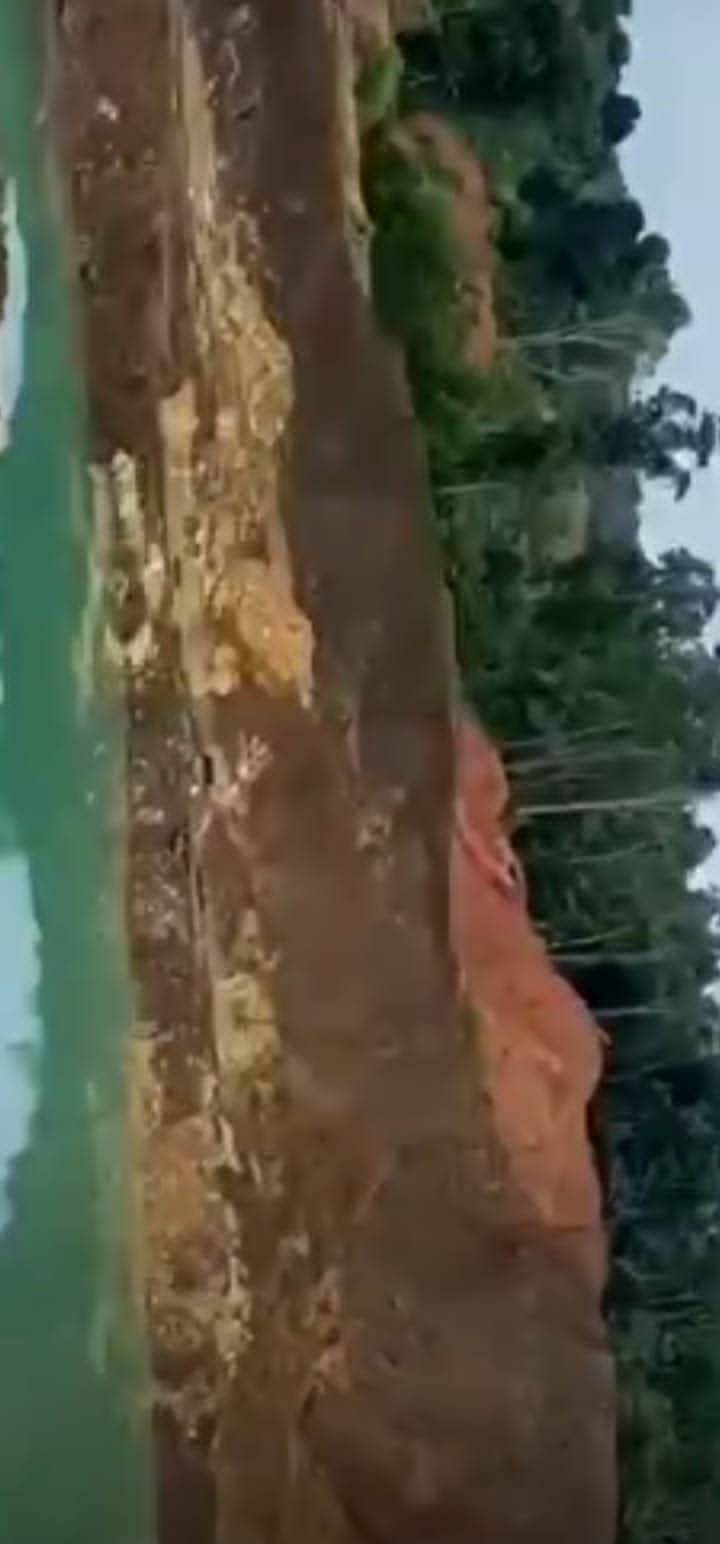 Bukit Senggiri Tempilang Tidak Termasuk Kawasan Hutan Produksi dan Hutan Lindung