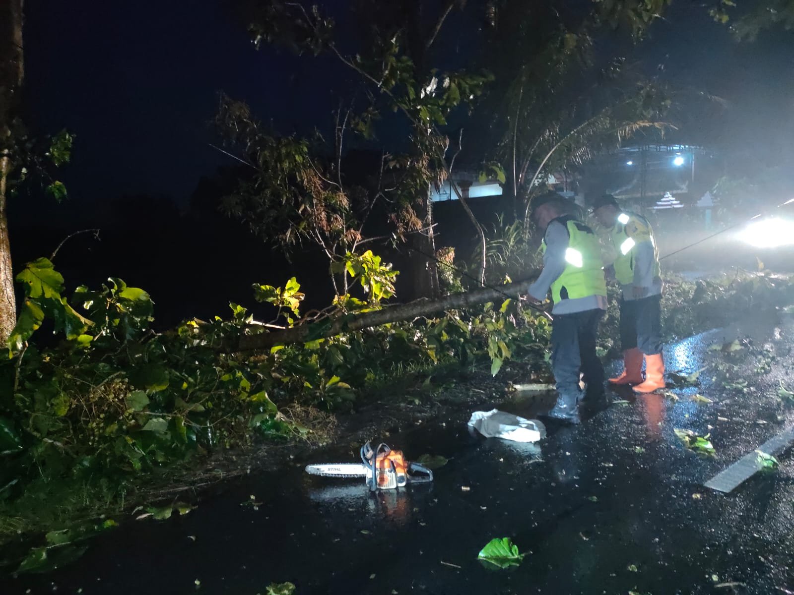 Sigap Polisi Ngawi Tangani Pohon Tumbang, Lalulintas Kembali Normal