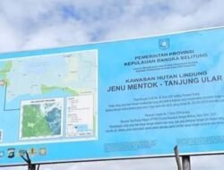 Aktivitas Tambang Timah Diduga Ilegal di Kawasan Hutan Lindung Tanjung Ular Muntok Bangka Barat