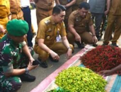 PJ BUPATI MUARO JAMBI SIDAK KEPASAR TRADISIONAL SENGETI