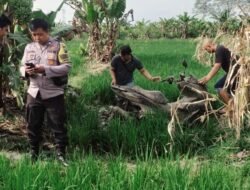 Petani Menemukan Motor Di Sawah, Ternyata Itu Milik Pemabuk Yang Nyungsep