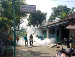 Antisipasi DBD Babinsa Pagerjo Koramil Gedeg Bareng UPT Puskesmas Lakukan Pengasapan