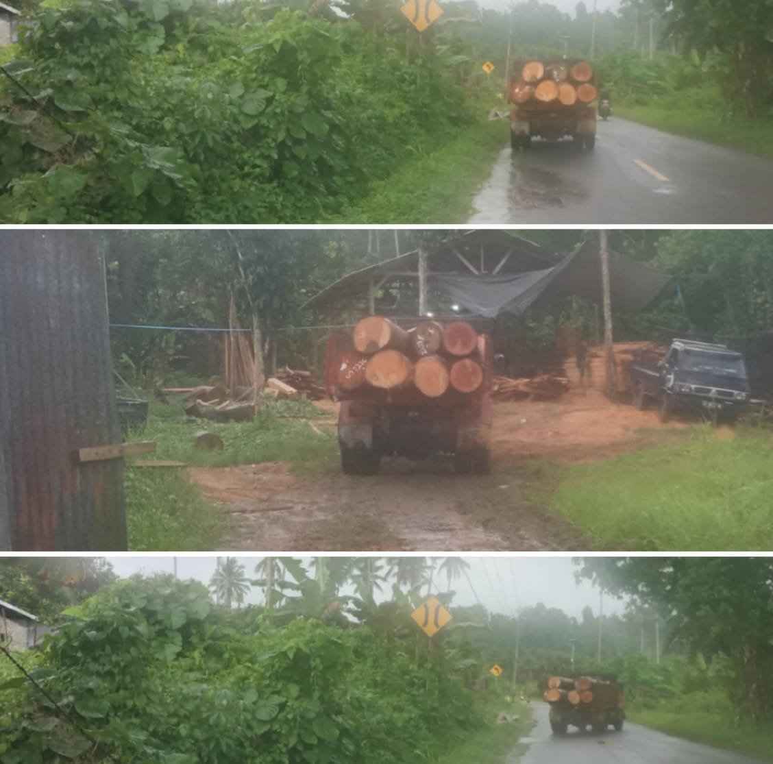 Mantan Pejabat BPBD Halsel Angkut Kayu, Lintasi Jalan Umum Tanpa Ada Pencegahan dari APH