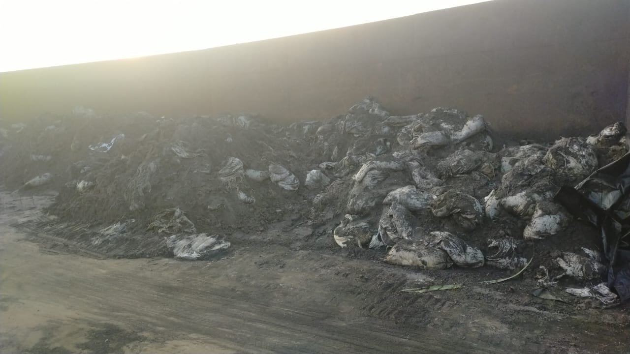 Kapal Bermuatan Pasir Zirkon Masih Tertahan di Dermaga Airanyir