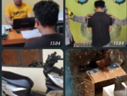 Polsek Kota Agung Tangkap Oknum PNS Bandar Negeri Semuong Resedivis, Kasus Pencurian Burung Merpati/Kicau