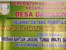 Pemerintah Desa Damar Wulan salurkan BLT-DD Tahap 1 untuk 25 KPM