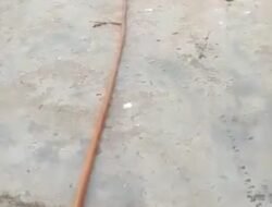 Diduga SPBN Ketapang Mengeluarkan Minyak BBM Subsidi Solar 1,5 Ton Tiap Hari Untuk Masyarakat yang Bukan Asli Warga di Wilayah Tersebut