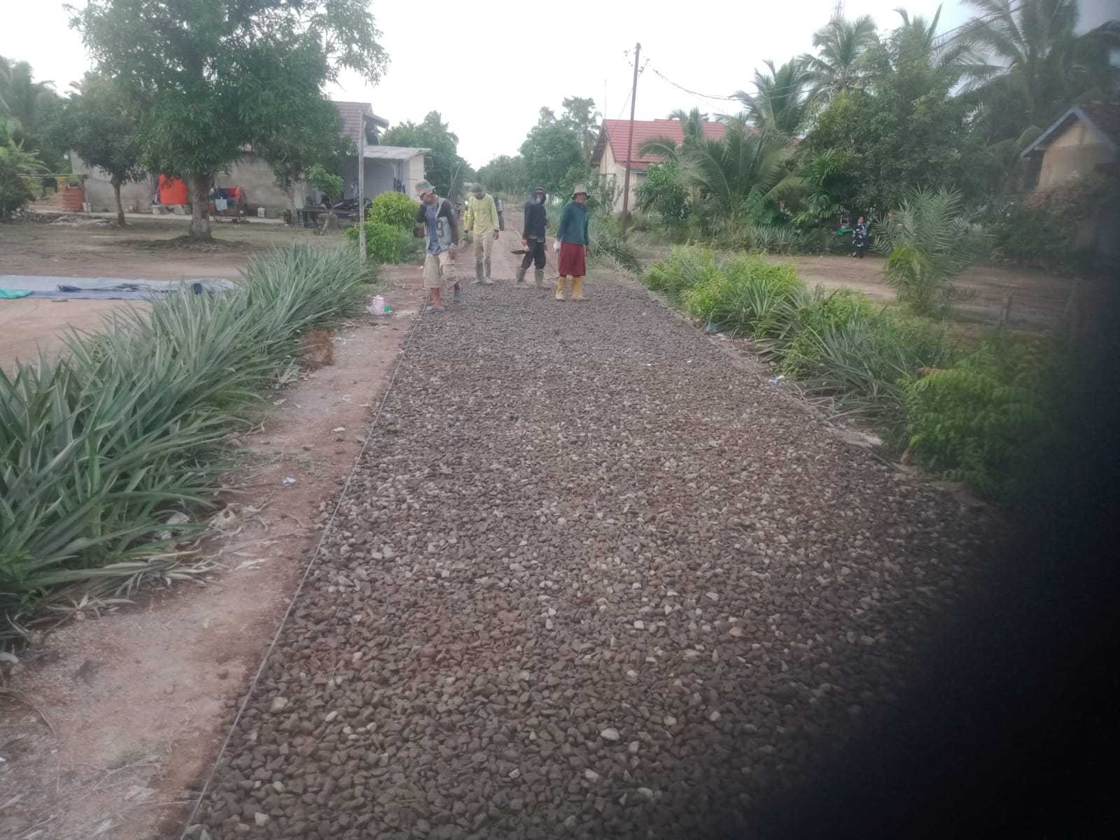 Realisasikan Dana Desa, Pemdes Purwosari Laksanakan Pembangunan Insfrastrukstur Jalan