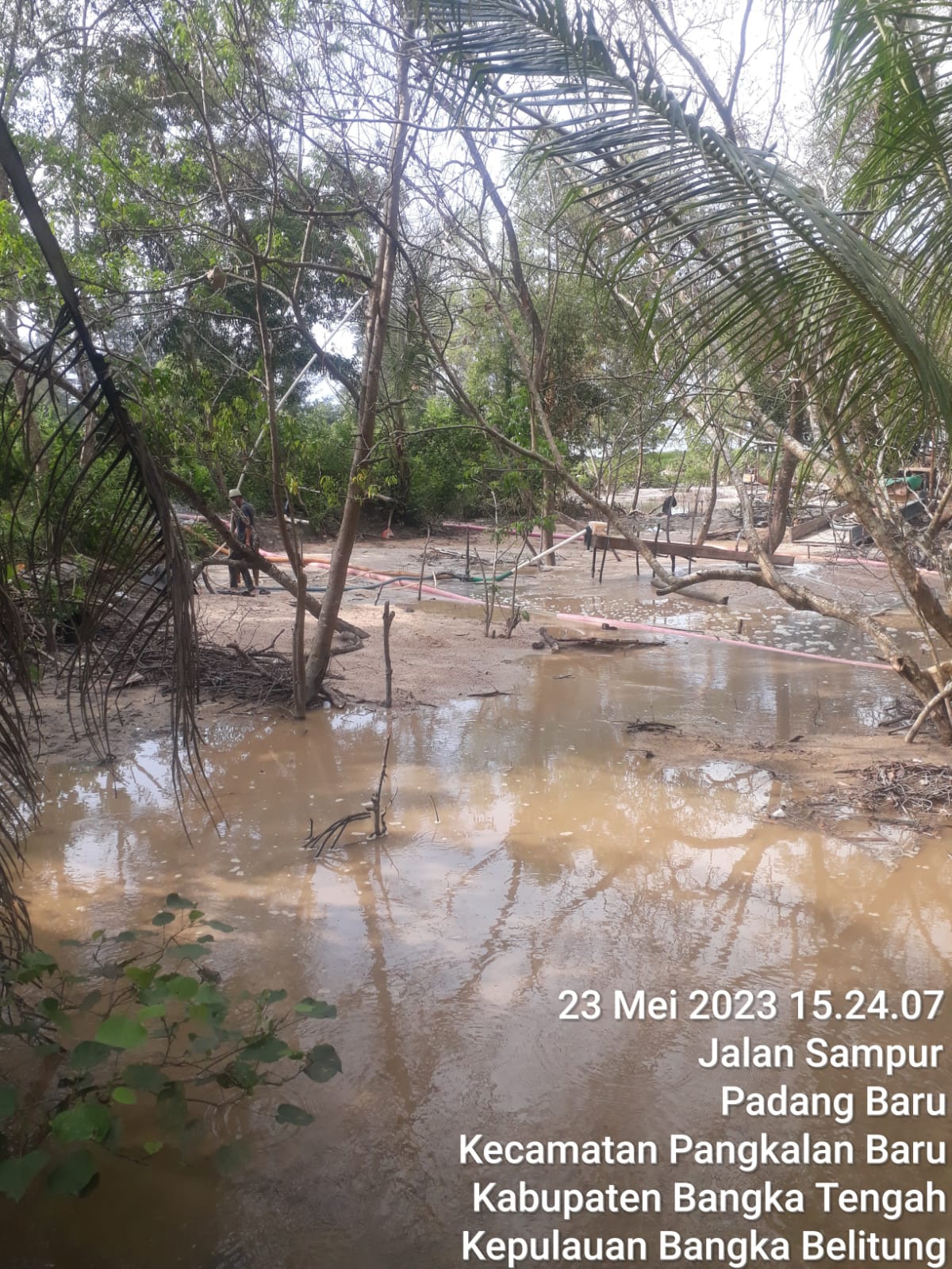 Aktivitas Tambang Timah Diduga Ilegal di Pantai Sampur dan Kawasan Bakau Bangka Tengah