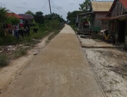 Manfaatkan Dana Desa, Pemdes Upang Induk laksanakan Pembangunan jalan cor