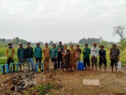 Babinsa Lakardowo Koramil Jetis Dampingi Petani Basmi Hama Wereng