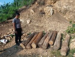Polres Malang Berhasil Amankan Dua DPO Diduga Pelaku Illegal Logging
