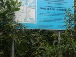 Aktivitas Tambang Timah Bukit Sambung Giri Seakan Kebal Dengan Namanya Hukum