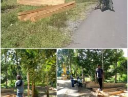 Maraknya llegal Loging Desa Kaputusan Halsel, Oknum Polisi Diduga Terlibat