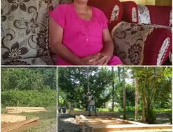 Kades Akui Terlibat Illegal Loging, LSM Gusur Desak Bupati Halsel Copot Kades