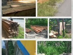 Berkas Aduan Illegal Logging Desa Kaputusang Rampung, LSM Gusur Desak Polres Halsel Amankan Barang Bukti