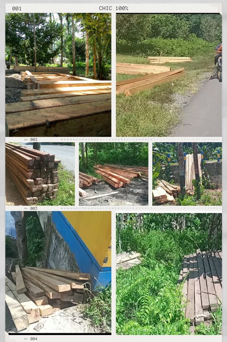 Berkas Aduan Illegal Logging Desa Kaputusang Rampung, LSM Gusur Desak Polres Halsel Amankan Barang Bukti