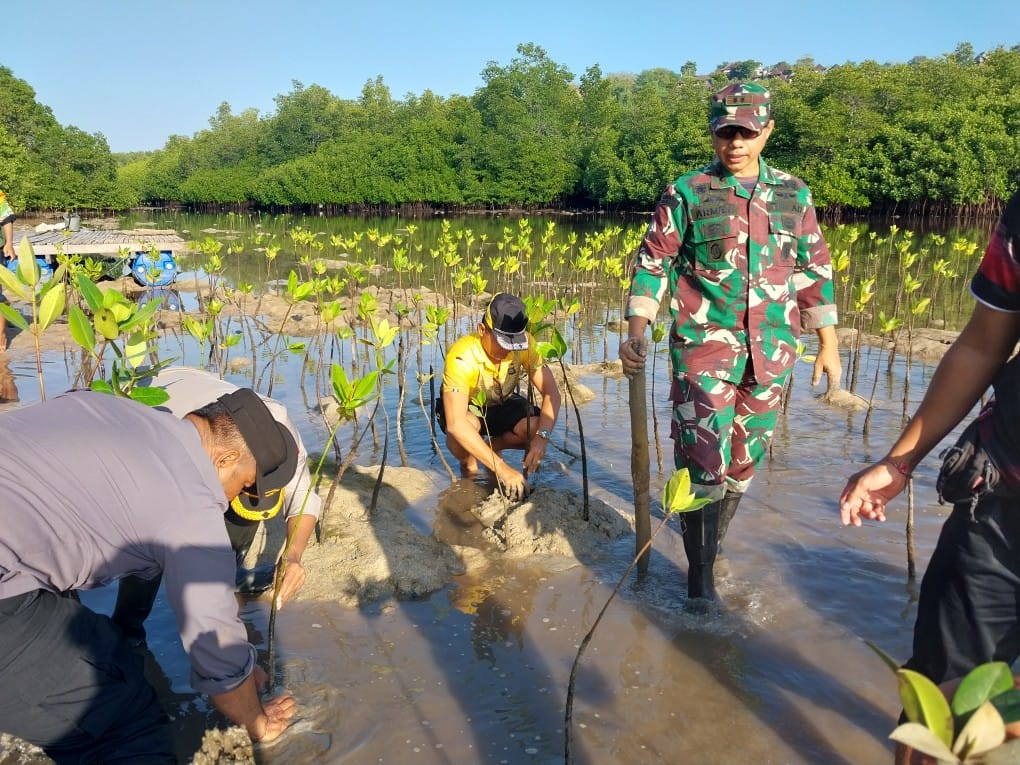 TNI-Polri di Klungkung Bergerak Tanam Mangrove