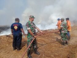 Piket Pos Ramil Mojoanyar & BPBD Padamkan Sijago Merah