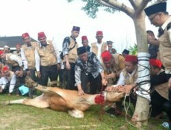 Sekda Budhi Hartono Mendukung Dan Mengapresiasi Pelatihan Juru Sembeli Halal