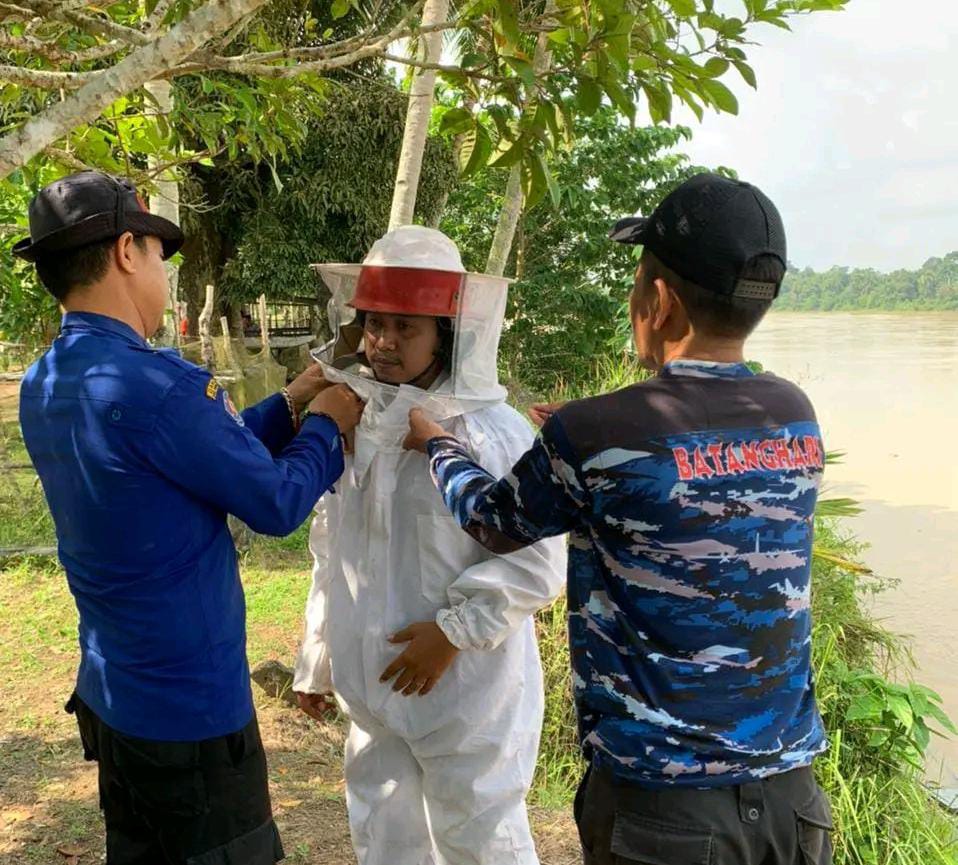 Petugas Damkar Dan Pemdes Sungai Puar Evakuasi Sarang Tawon di Pohon