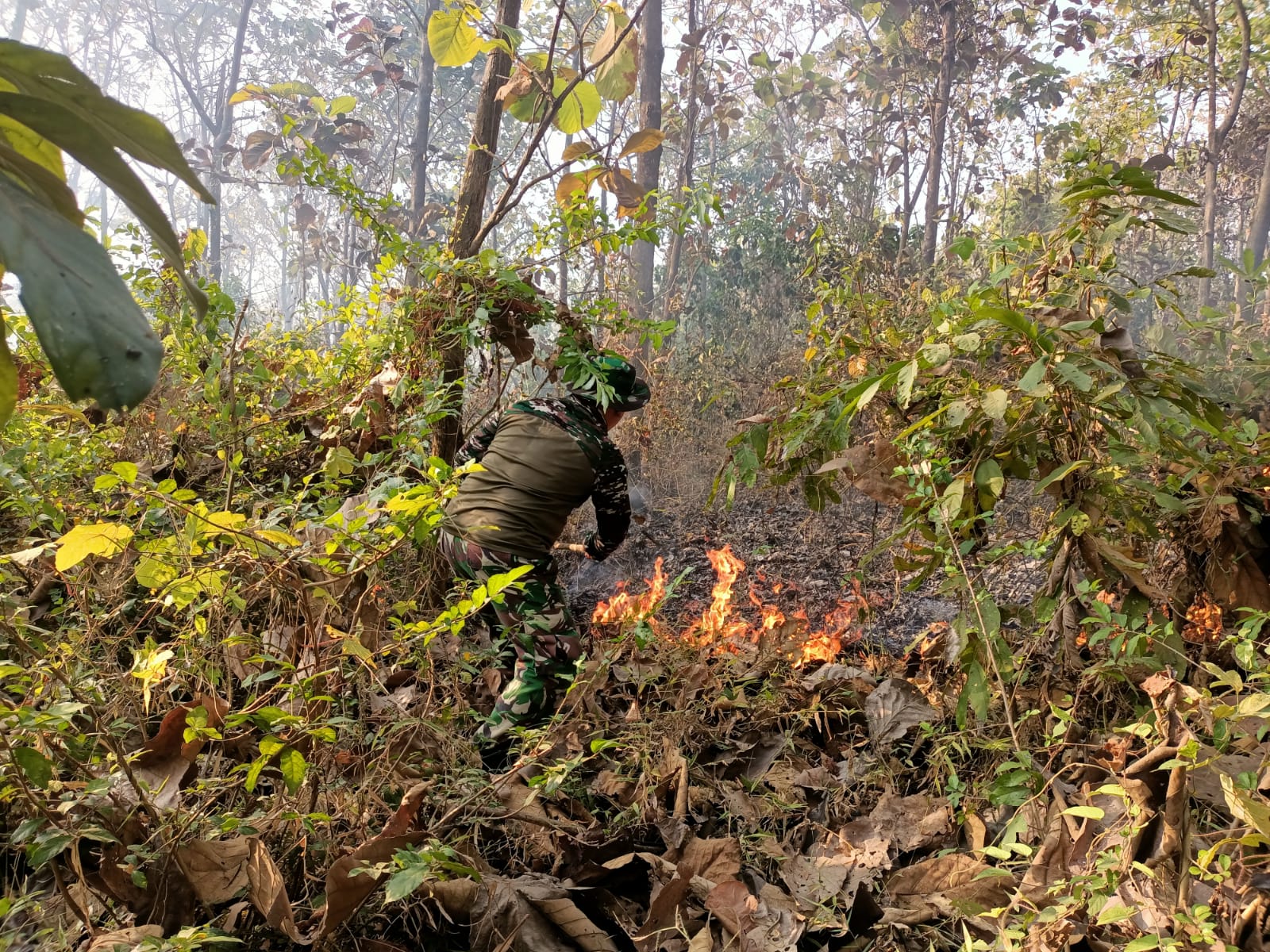 Kesigapan Koramil Jatirejo Bersama Forkopimcam - BPBD Padamkan Api Kawasan Hutan Perhutani