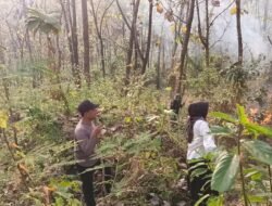 Kesigapan Koramil Jatirejo Bersama Forkopimcam – BPBD Padamkan Api Kawasan Hutan Perhutani