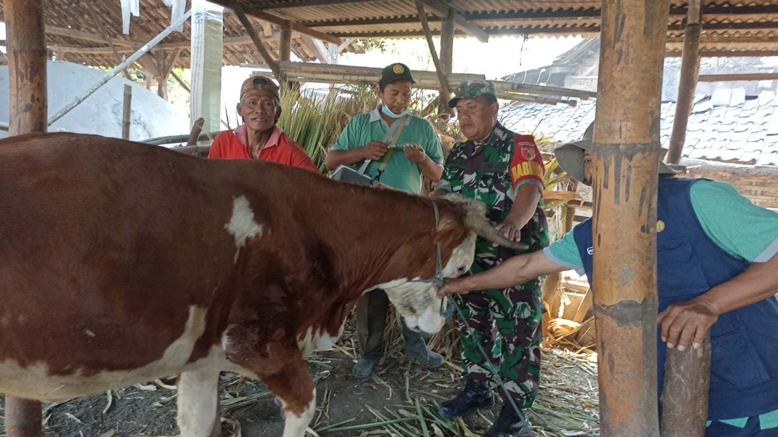 Pantau PMK, Koramil 0815/06 Kemlagi Bareng Distan Gencar Lakukan Vaksinasi