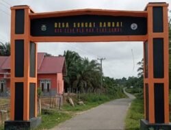 Camat Tebo Ulu Merasa Sangat Kecewa Terkait Penjaringan Perangkat Desa Sungai Rambai, Ada Apaaaaa !!!
