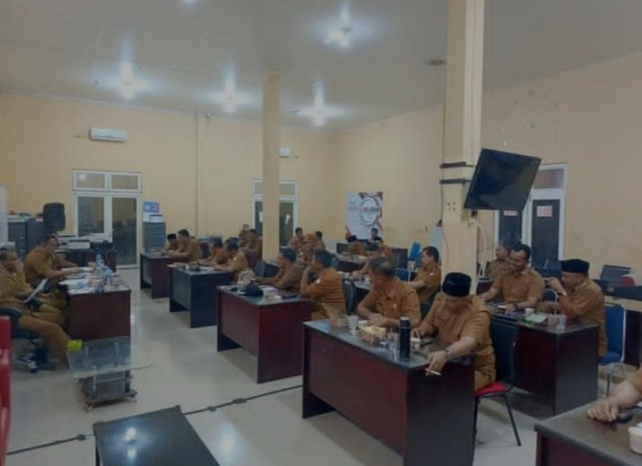 Pemerintah Kabupaten Aceh