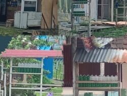 Jual Beli Pertalite Semakin Ramai di Jalan, Disperindang Halsel Diduga Lakukan Pembiaraan