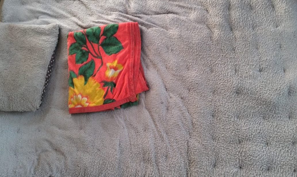 Sat Reskrim Polres Tanggamus Tangkap Ayah Bejat Pencabul Putri Kandung