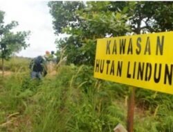 Kades Muaro SekaloLaporkan Masyarakatnya Polres Tebo Terkait Perambahan Hutan