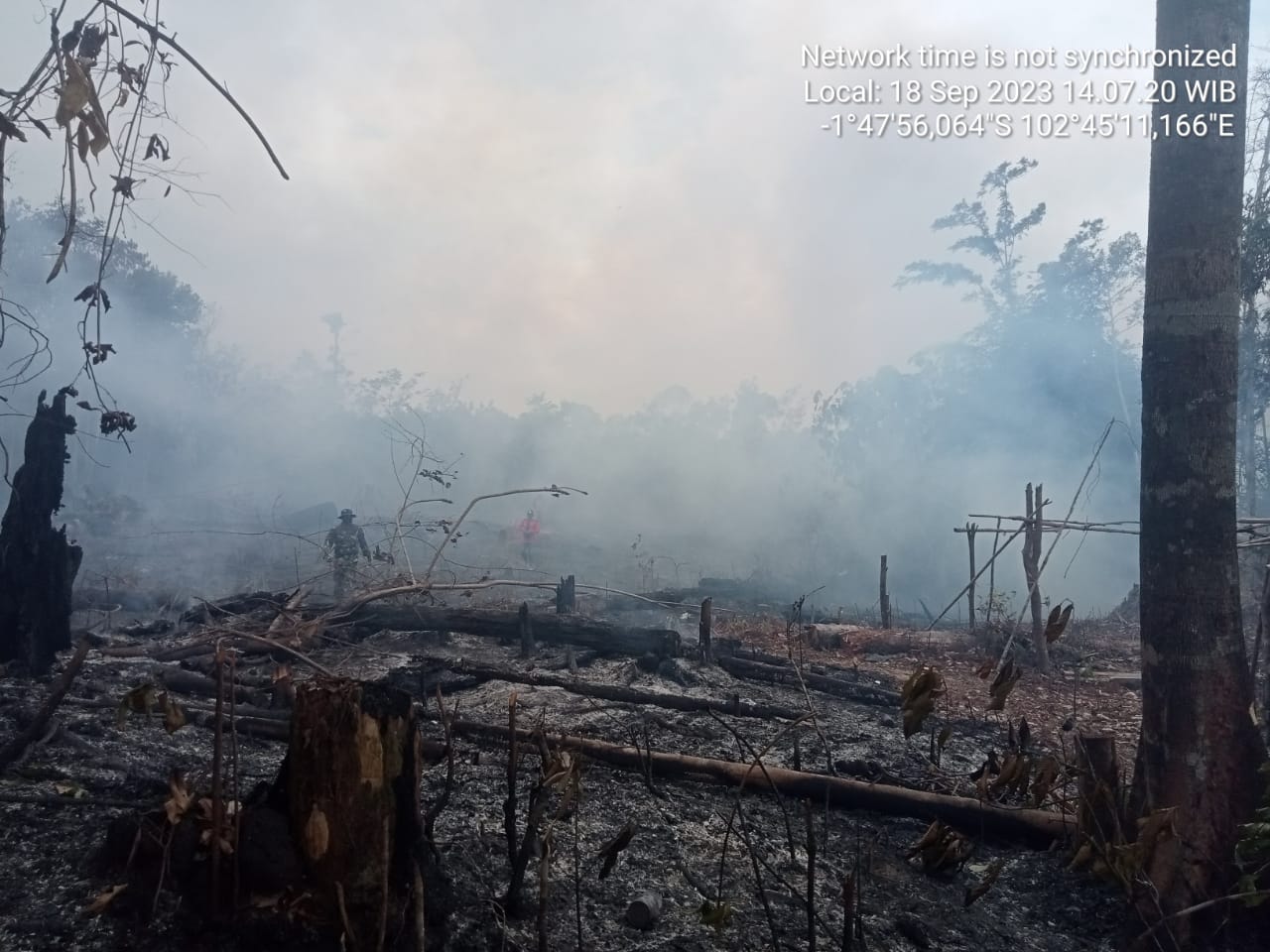 Diduga Maraknya Kegiatan Perambahan Hutan Tampa Izin Hingga Menyebabkan Terjadinya Kebakaran