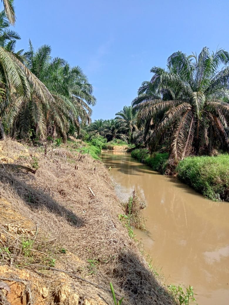 Di duga PT. IKU langgar PP Nomor 38 Tahun 2011 Tentang Sepadan Sungai