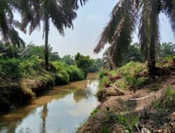 Di duga PT. IKU langgar PP Nomor 38 Tahun 2011 Tentang Sepadan Sungai