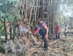 Babinsa Koramil 0815/15 Jatirejo Bareng Warga Padamkan Kobaran Api