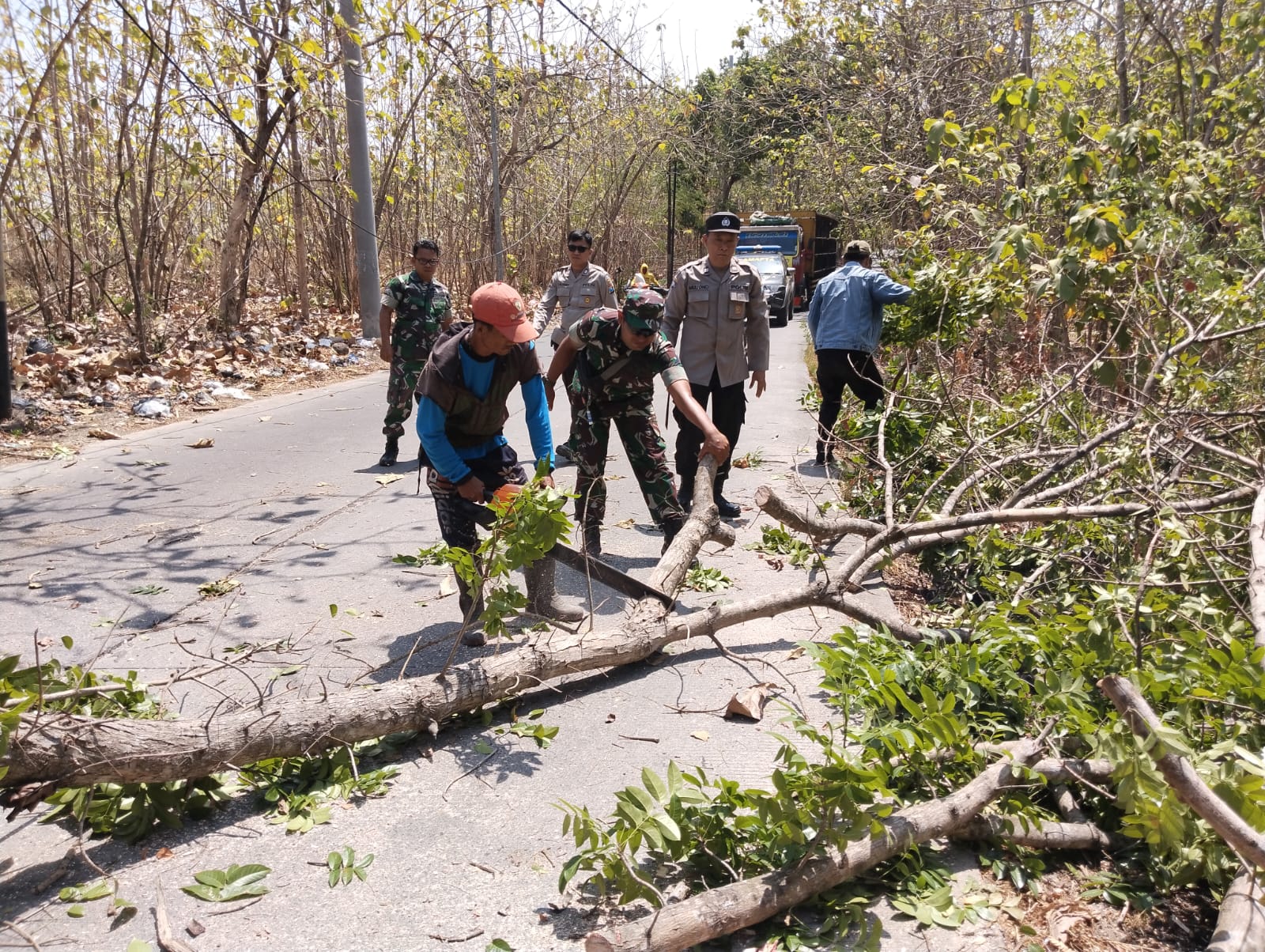 Gercep, Babinsa Koramil Dawarblandong Bareng Polsek & Relawan Evakuasi Pohon Tumbang