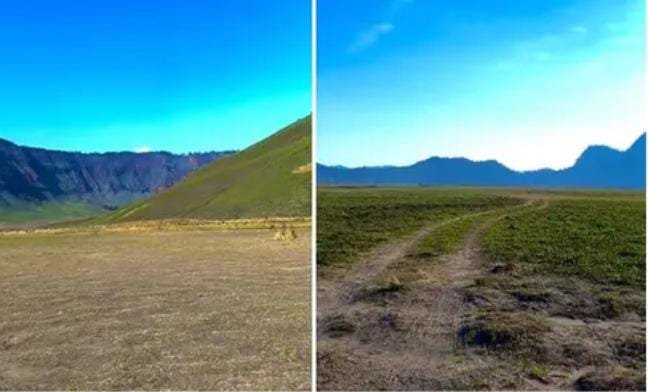 Kawasan Savana Bromo di Taman Nasional Bromo Tengger Jawa Timur Kembali Menghijau