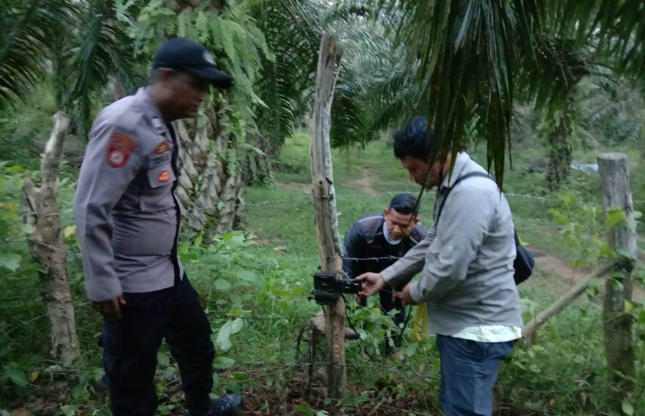 Anggota Polsek Banda Alam Polres Aceh Timur Dampingi Petugas Pasang Kamera Trap di Lokasi Sapi yang Dimangsa Harimau