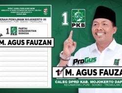 M. Agus Fauzan, Caleg DPRD Kabupaten Mojokerto Dapil III (Puri – Sooko – Trowulan)